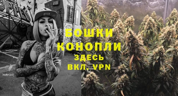 мдпв Богданович