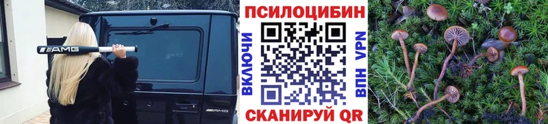 Псилоцибиновые грибы прущие грибы  Кодинск 